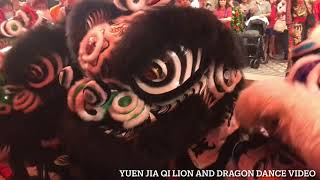 晟洪醒獅健身院 Sheng Hong Lion Dance Cai Qing Performance on the 21123 [upl. by Odnavres578]