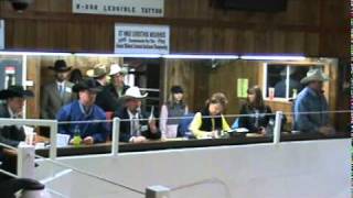 7 Glenn Gaikowski 2011 Greater Midwest Livestock Auction Competition [upl. by Eleanor]