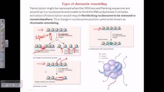 Types of chromatin remodeling [upl. by Vasiliu]