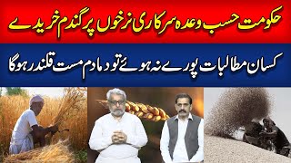 Punjab government wheat purchasing  Historic wheel jam strike threat  PunjAab TV [upl. by Litman]