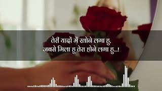 तेरी यादों में खोने लगा हूं जबसे sad shayari  hindi shayari  new shayari 2024  shayari ep 58 [upl. by Areehs]