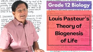 Theory of Biogenesis of Life by Louis Pasteur  Grade 12 Biology [upl. by Eiramrefinnej]