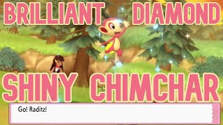 LIVE Shiny Chimchar Starter amp 3 Uncatchable Starly in BDSP in 4252 resets total [upl. by Grimbald373]