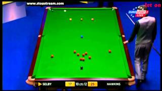 Barry Hawkins vs Mark Selby  WSC 2013 [upl. by Player]