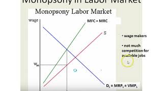 Monopsony Labor Market [upl. by Stalder787]