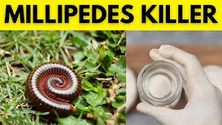 Kick Millipedes Out the Natural Way Tips and Tricks for Keeping Your Home and Garden Millipede Free [upl. by Amieva]