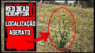 Localizaçao Agerato Red Dead [upl. by Loris]