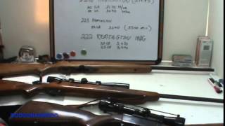 Survival Weapons 222 Remington Rifles amp Combination guns [upl. by Ellebanna]