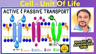 Cell Membrane Transport  Active amp Passive Diffusion Osmosis amp Facilitated Diffusion [upl. by Ohaus]