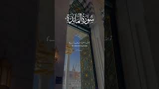 Quran Talwat muhammadﷺ shortsfeed [upl. by Carberry]