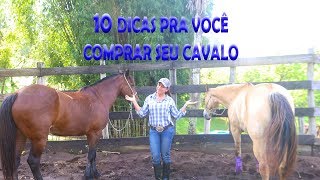 10 Dicas para você comprar o seu cavalo [upl. by Danforth]