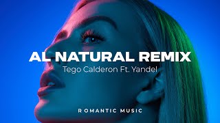 Al natural remix  Tego Calderon Ft Yandel [upl. by Cown647]