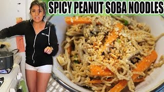 SPICY PEANUT SOBA NOODLES FAST EASY RECIPE  TASTYTUESDAY [upl. by Neiviv868]