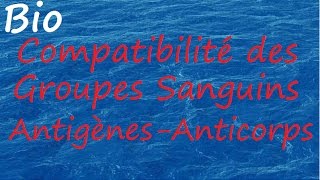 Compatibilité groupes sanguins [upl. by Oicanata865]