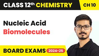 Nucleic Acid  Biomolecules  Class 12 Chemistry Chapter 10  CBSE 202425 [upl. by Lledroc]