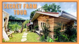 Mindanao SECRET SPOTS Farm Tour  Private farm tour in Mindanao Misamis Oriental Libona [upl. by Baryram342]