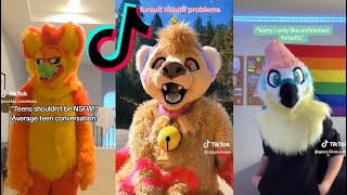 11 Minutes Of Fursuit  TikTok Compilation [upl. by Annaiv572]