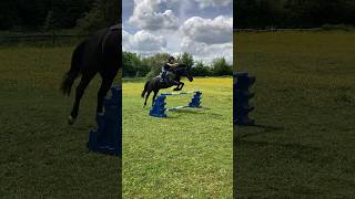 Guess the height 🫶🏻🫶🏻 horse rider pony equestrian yoda jumping showjumping horsemanship [upl. by Wiltz736]