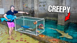 24 HOUR Fish Trap in CREEPY TIDE POOL Catches Wild FISH [upl. by Ecart]