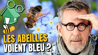 Comment les abeilles repèrent les fleurs quelles butinent  🐝 🌼 [upl. by Odiug]