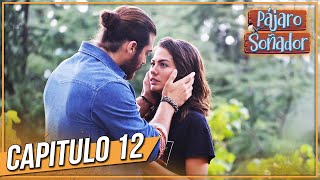 Pájaro soñador  Capitulo 12 Audio Español  Larga Capitulo  Erkenci Kuş [upl. by Itsirk592]