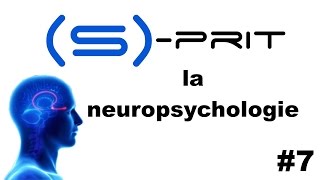 La neuropsychologie en 4 points  Sprit 7 [upl. by Acirehs171]