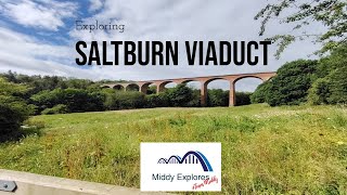 Exploring Saltburn Viaduct [upl. by Peers736]