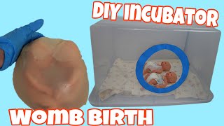 Birth of silicone twins in the womb and DIY Incubator for reborn [upl. by Aratahc988]