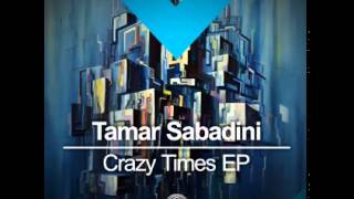 DMR057 Tamar Sabadini  Night Hunters Original Mix [upl. by Dacey898]