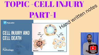 cell injury pathology priyanka sachdevcell injury pathology notescell injury and adaptation notes [upl. by Ettenwad329]