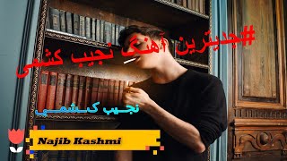 جدیترین آهنگ نجیب کشمی Najib kashmi new song2021 Damoranajibkasmi2021songsmahali [upl. by Havstad]