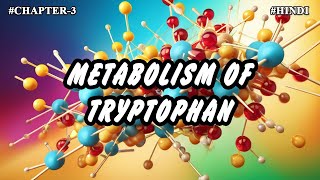 Chapter  3  Metabolism Of Amino Acids  Tryptophan Metabolism Part8  Hindi [upl. by Sholes]