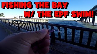 Fishing the ABSECON BAY w the 1quot EPF SWIM Matching the Hatch [upl. by Drol682]