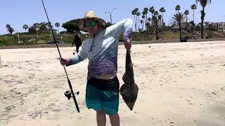 Nice GuitarFish  Catch and Release  Surf Fishing  Cherry Beach in Long Beach CA 61824 [upl. by Aicia]