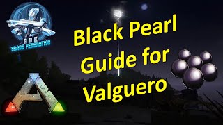 How to get Black Pearls on Valguero Ark Official Pve [upl. by Alieka71]