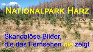 Nationalpark Harz  Diese Bilder zeigt das Fernsehen nie [upl. by Eseela544]