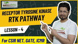 Receptor tyrosine kinase pathway  RTK receptor cell signaling [upl. by Luanne]