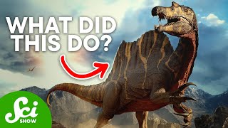 7 Dinosaur Mysteries We Havent Fully Figured Out [upl. by Hayton]