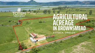 29 Acres of Farmland in Brownsmead Oregon  Clatsop County Land For Sale [upl. by Avivah]