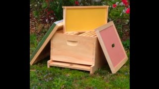 First Year Of Beekeeping basic equipment starting your beehive [upl. by Ahseem]