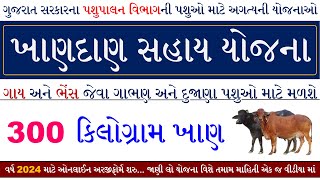 Khandan Sahay Yojana Gujarat 2024  Pashupalan Sahay Yojana Gujarat 2024  Pashu Khandan Sahay [upl. by Trinetta]