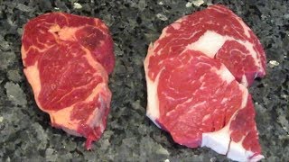 Grass Fed VS Grain Fed Beef [upl. by Papp]