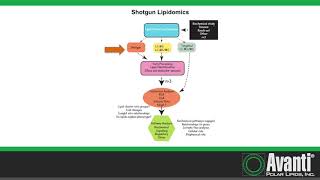 Mass Spectrometric Approaches to Lipidomic Studies [upl. by Rains]