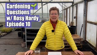 Gardening Questions w Rosy Hardy  Episode 10 [upl. by Yadrahc398]