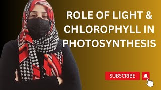 Role Of Light amp Chlorophyll In Photosynthesis  Photosystems  Carotenoids  Class 9  Unit 7 [upl. by Lrak]