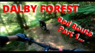 Dalby Forest  Red Route Part 1 [upl. by Akiras]