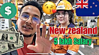 न्यूज़ीलैंड में कमाई  Earning In New Zealand 🇳🇿 on Work Visa  reality [upl. by Kayley]