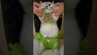 Winx cat winx [upl. by Idnac]