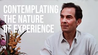 Contemplating the Nature of Experience [upl. by Ivar]