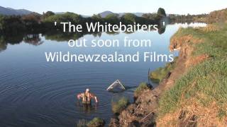 The Whitebaiters  Wildnewzealand Films [upl. by Ihn859]